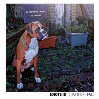 Chapter 2 - Fall