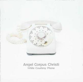White courtesy phone