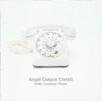White courtesy phone