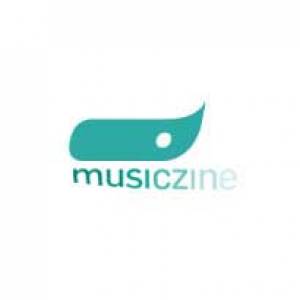 Musiczine.net redactie - eindejaarslijsten 2014 – de Muzikale Hoogstandjes