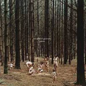 Principles Of Geometry