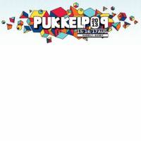 Pukkelpop 2013 : samedi 17 août