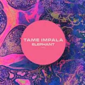 Un Elephant pour les Kangourous Tame Impala !
