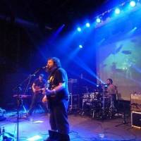 4x4 Festival 2011 - een meer dan geslaagd bilateraal feestje onder muzikale geestesgenoten