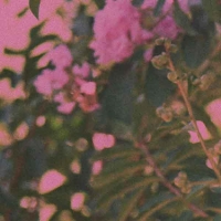 Not Cool -single-