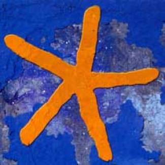 13 th Star