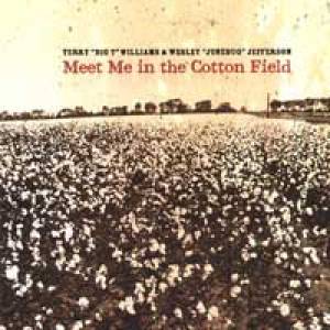 Meet me in the cotton field