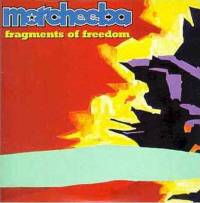 Fragments of freedom