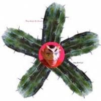 They got lost / A compilation of rarities from T.M.B.G.