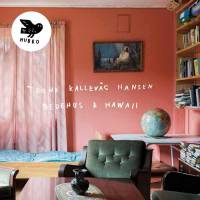 Bedehus &amp; Hawaii 