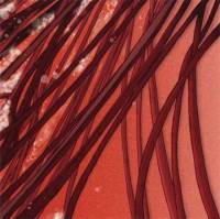 Cardiology