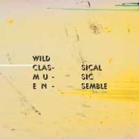 Wild Classical Ensemble, hors les murs.