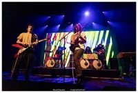 King Gizzard &amp; The Lizard Wizard - Een fenomenale rollercoaster