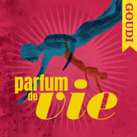 Goudi sur les traces d’Arno ?