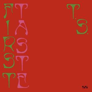 Le bon goût de Ty Segall
