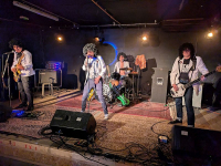 Thee Vibrafingers - Met fuzz doordrenkte garage rock-'n-roll