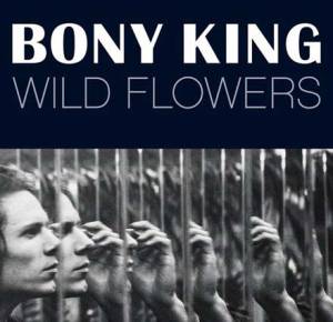 Wildflowers