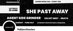 De Pekkersfeesten 2024 - Een sterke programmatie en bijhorende performances op een heel fijne locatie