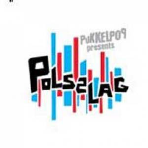 Nieuw indoorfestival Polsslag 2008 smaakt naar meer …