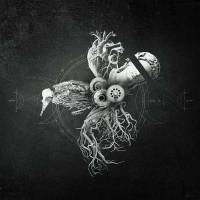 Echoes From The Bardo