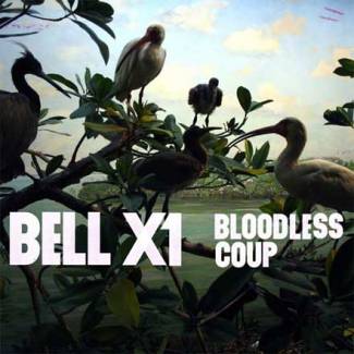 Bell X1 : le Broken Social Scene irlandais ?