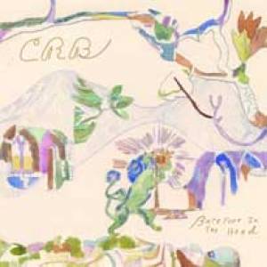 Le Chris Robinson Brotherhood marche sur la tête, et les pieds nus !