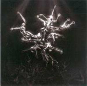 The Silver Tree