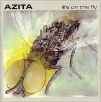 Life on the Fly