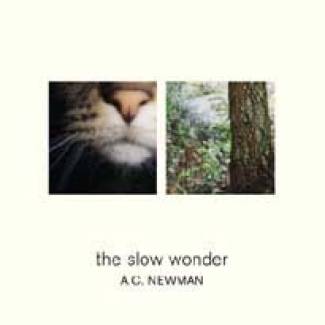 The slow wonder