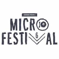 Micro Festival 2015 : vendredi 6 août