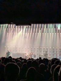Triggerfinger - Een eeuwige knaldrang!