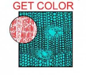 Get color