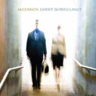 Ghost Surveillance