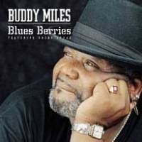 Blues Berries