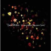 Une centaine de millions de soleil pour Snow Patrol