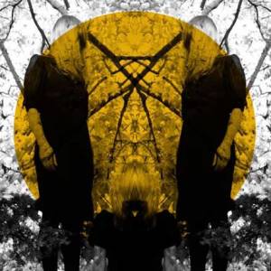Austra : drôle de mix !