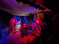 Paul Collins Beat - King of power pop