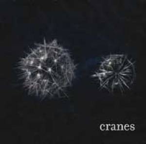 The Cranes