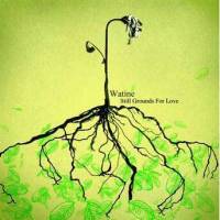 Still Grounds for Love