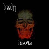 Insects