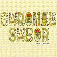 La vision ad hoc de Jaromil Sabor en montagne…