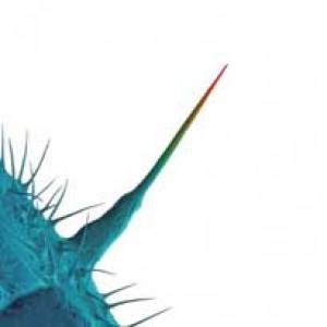Peter Gabriel replonge dans l’univers du concept…